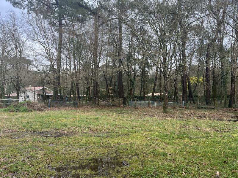 Vente Terrain CISSAC MEDOC - -1030 m² - (33250)