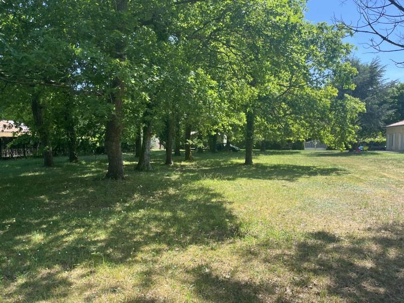 Vente Terrain ST SAUVEUR - -905 m² - (33250)