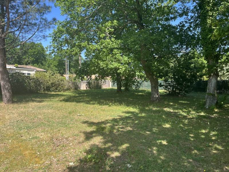 Vente Terrain ST SAUVEUR - -905 m² - (33250)