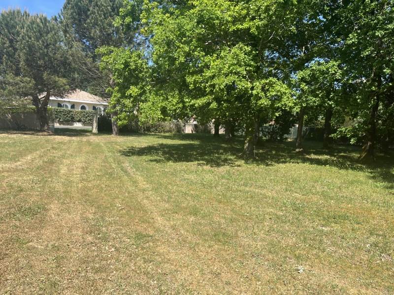 Vente Terrain ST SAUVEUR - -905 m² - (33250)