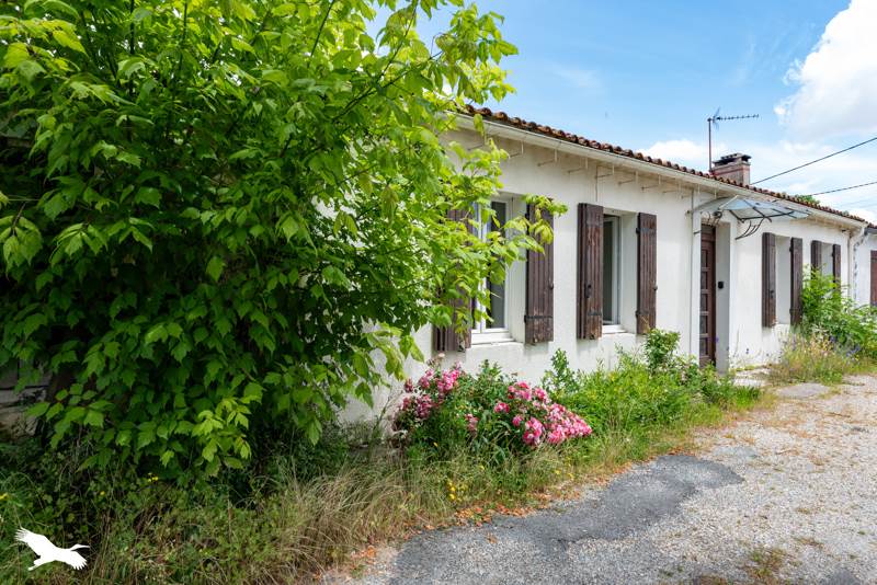 Vente Maison ST SAUVEUR - 5 pièces -98 m² - (33250)