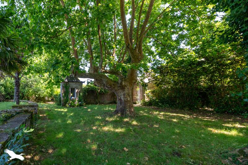 Vente Maison PAUILLAC - 6 pièces -190 m² - (33250)
