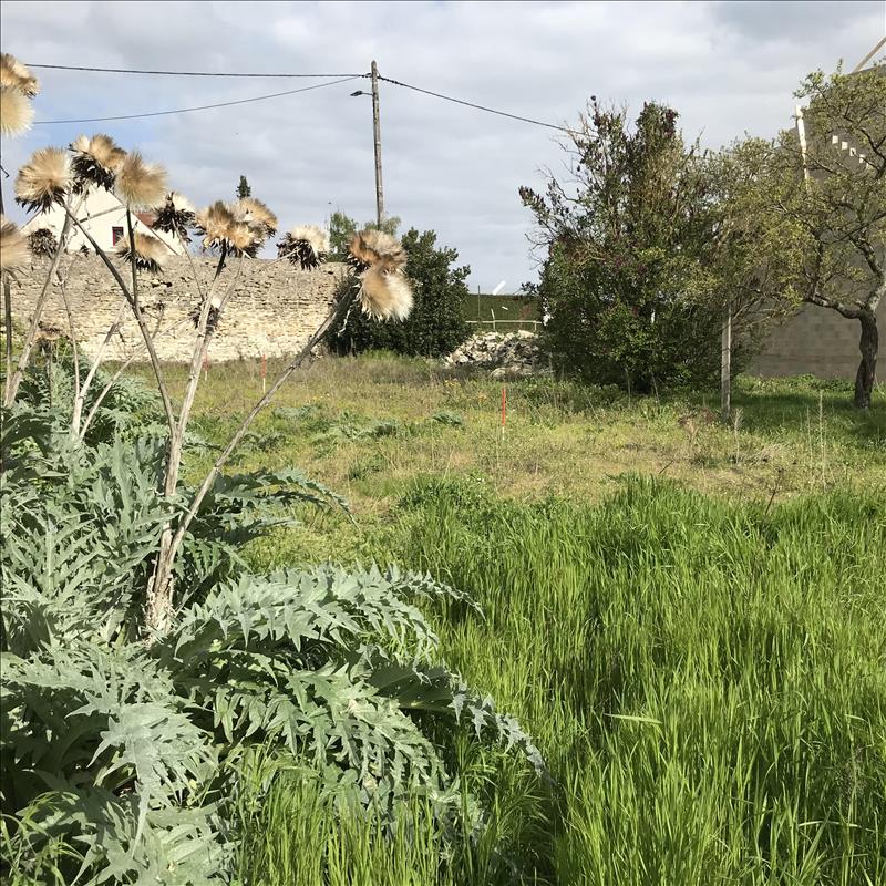 Vente Terrain BREUIL BOIS ROBERT - -588 m² - (78930)