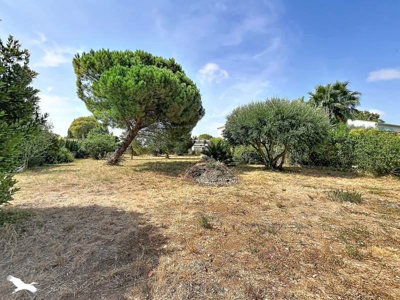 Vente Maison MIREVAL - 7 pièces -141 m² - (34110)