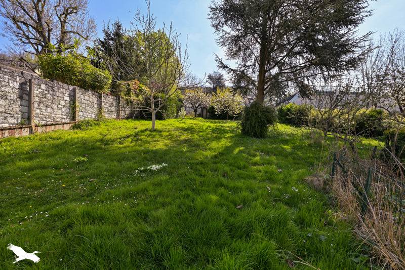 Vente Terrain MONTLIGNON - -558 m² - (95680)