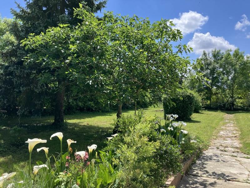 Vente Maison ENCAUSSE - 4 pièces -114 m² - (32430)