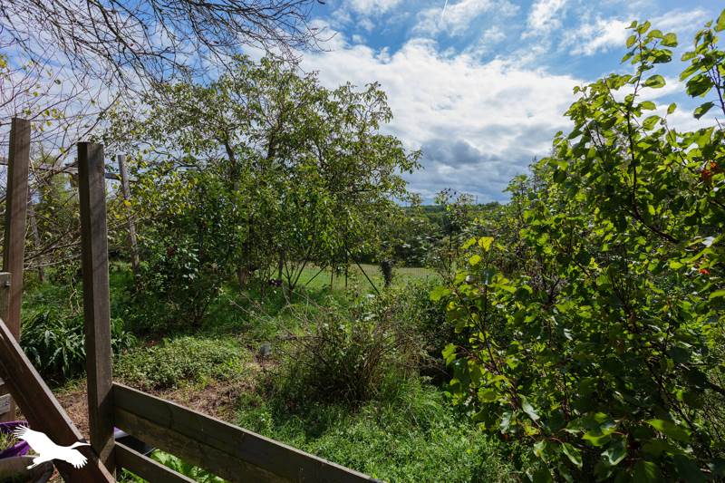 Vente Maison PUJAUDRAN - 3 pièces -139 m² - (32600)