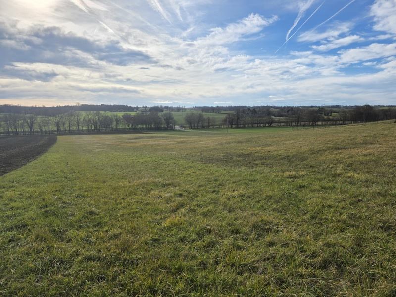 Vente Terrain CLERMONT SAVES - -1056 m² - (32600)