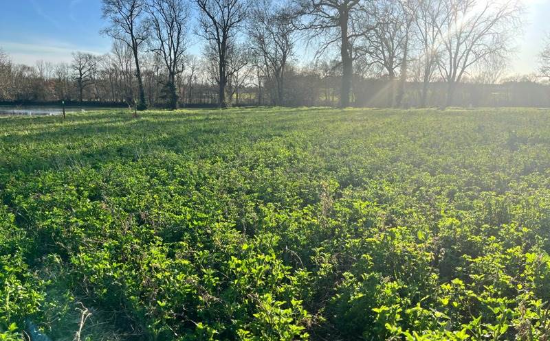 Terrain 4 pièces · à L'Isle-Jourdain · 125 241 €