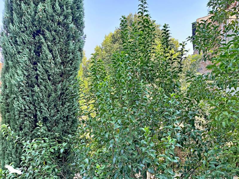 Vente Appartement TOULOUSE - 2 pièces -40 m² - (31000)