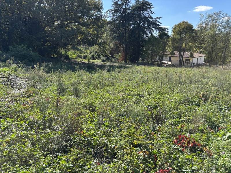 Vente Terrain BOULIAC - -1046 m² - (33270)