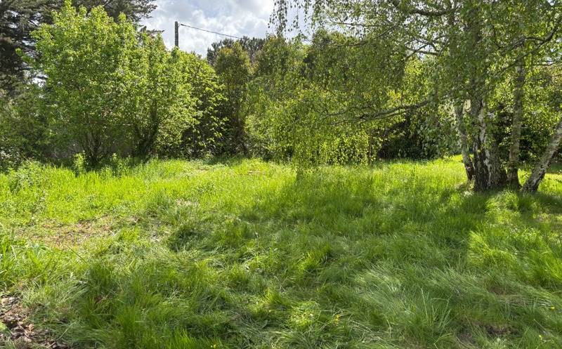 Vente Terrain CARIGNAN DE BORDEAUX - -828 m² - (33360)