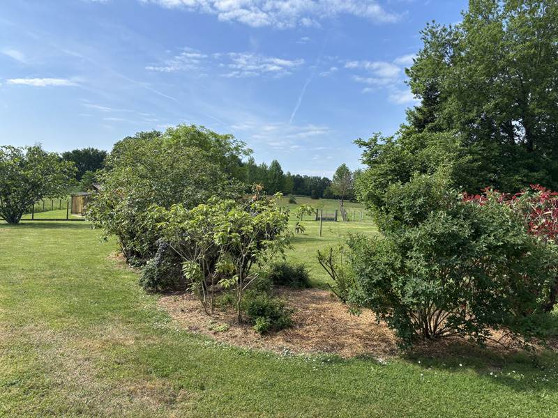 Vente Terrain ST CAPRAIS DE BORDEAUX - -7891 m² - (33880)