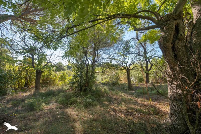 Vente Maison MONTPELLIER - 7 pièces -180 m² - (34070)