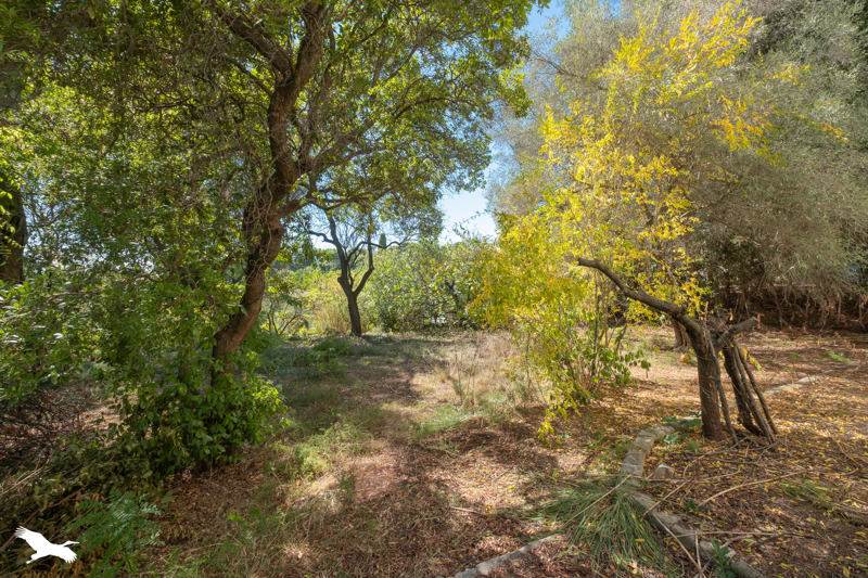 Vente Maison MONTPELLIER - 7 pièces -180 m² - (34070)