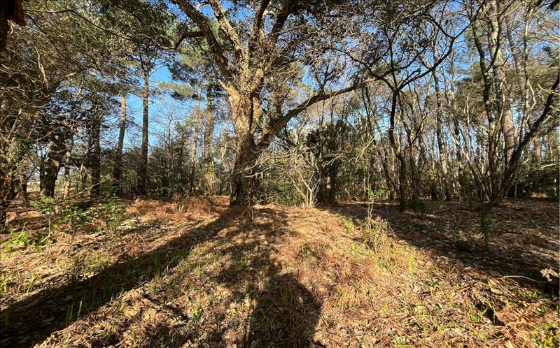 Vente Terrain VIELLE ST GIRONS - -1704 m² - (40560)