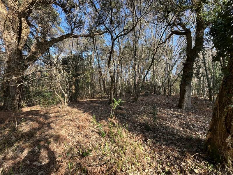 Vente Terrain VIELLE ST GIRONS - -1704 m² - (40560)