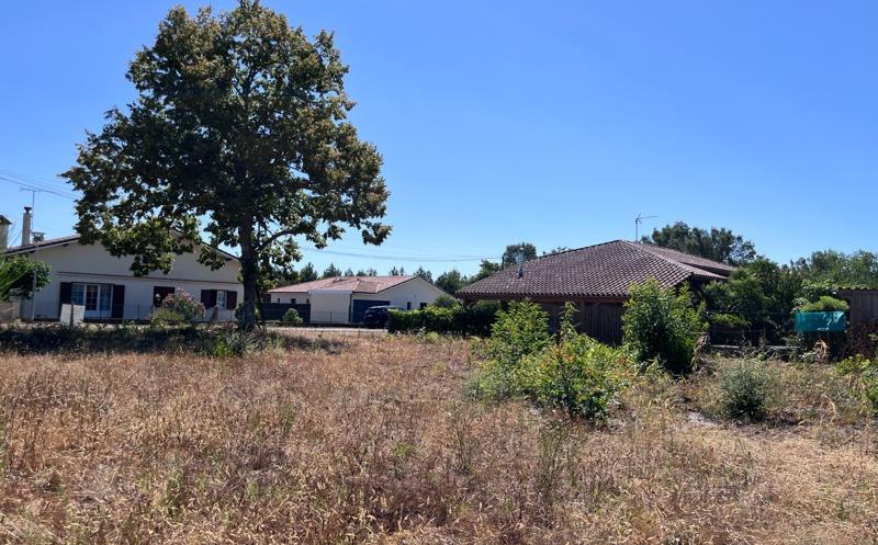 Vente Terrain LINXE - -528 m² - (40260)