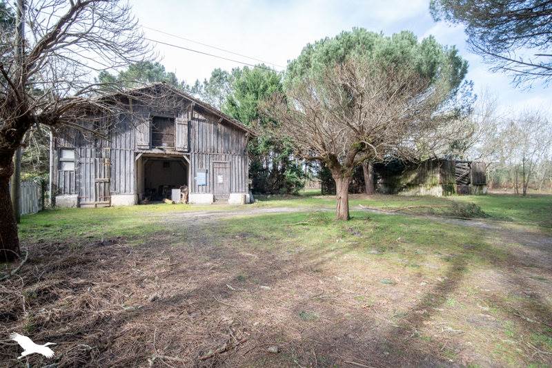 Vente Maison LINXE - 6 pièces -160 m² - (40260)