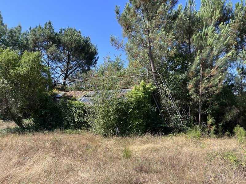 Vente Terrain Linxe - -730 m² - (40260)