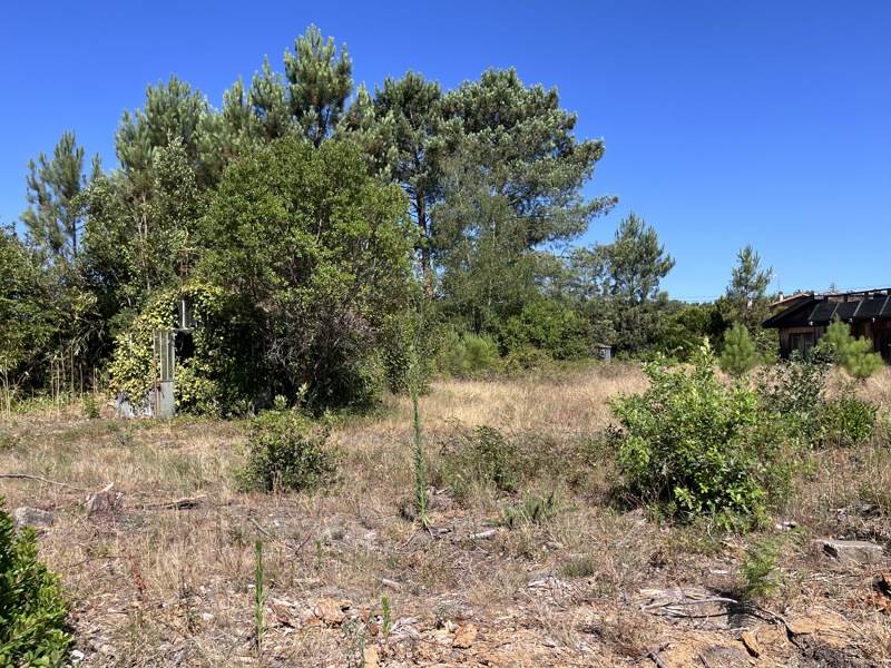 Vente Terrain Linxe - -730 m² - (40260)