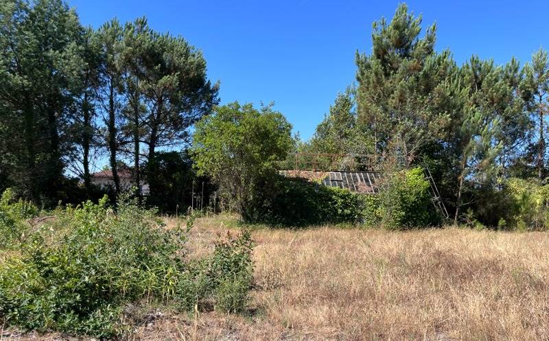 Vente Terrain LINXE - -1258 m² - (40260)