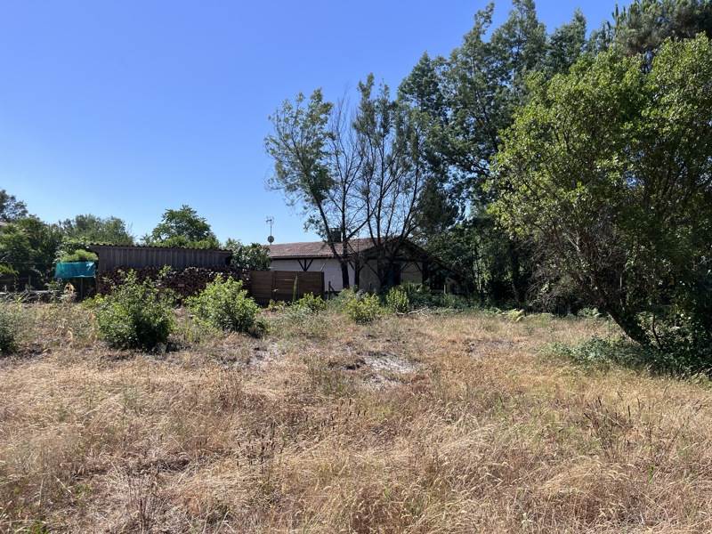 Vente Terrain LINXE - -1258 m² - (40260)