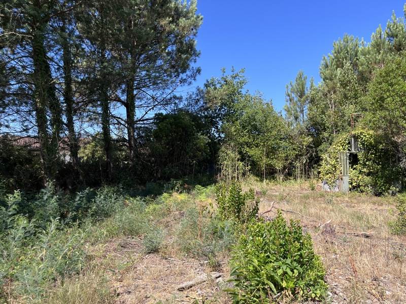 Vente Terrain LINXE - -1258 m² - (40260)
