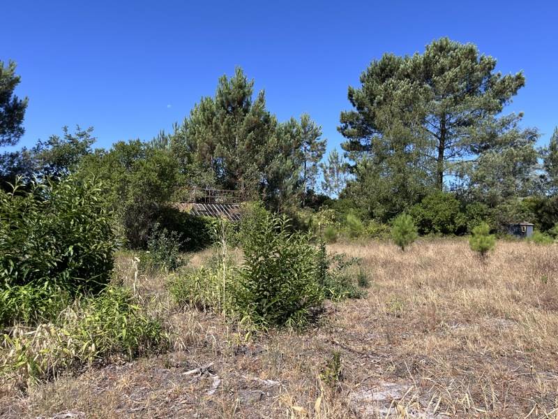Vente Terrain LINXE - -1258 m² - (40260)