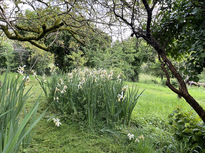 Vente Maison EYZERAC - 4 pièces -60 m² - (24800)