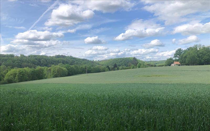 Vente Terrain ST JEAN DE COLE - -27976 m² - (24800)