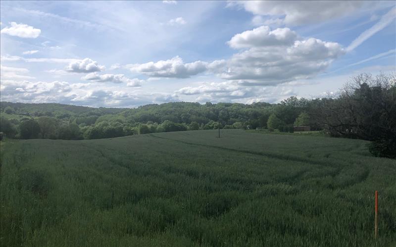 Vente Terrain ST JEAN DE COLE - -5000 m² - (24800)