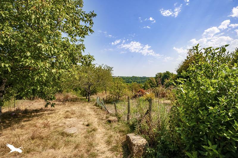 Vente Maison NANTHEUIL - 5 pièces -113 m² - (24800)