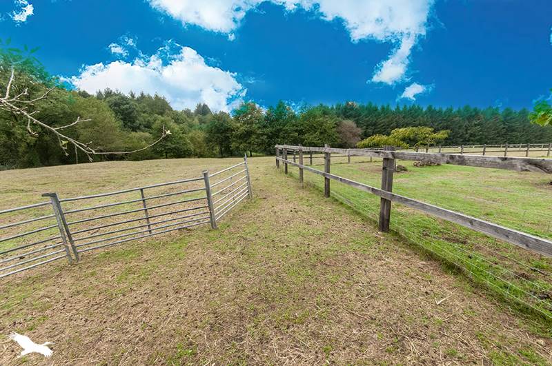 Vente Maison LA COQUILLE - 5 pièces -147 m² - (24450)