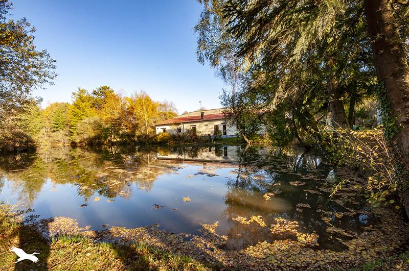Vente Maison CHALAIS - 4 pièces -139 m² - (24800)