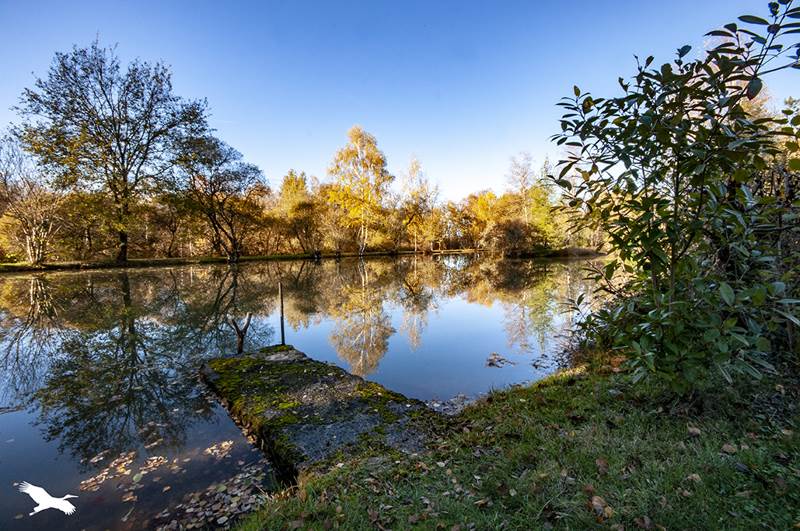 Vente Maison CHALAIS - 4 pièces -139 m² - (24800)