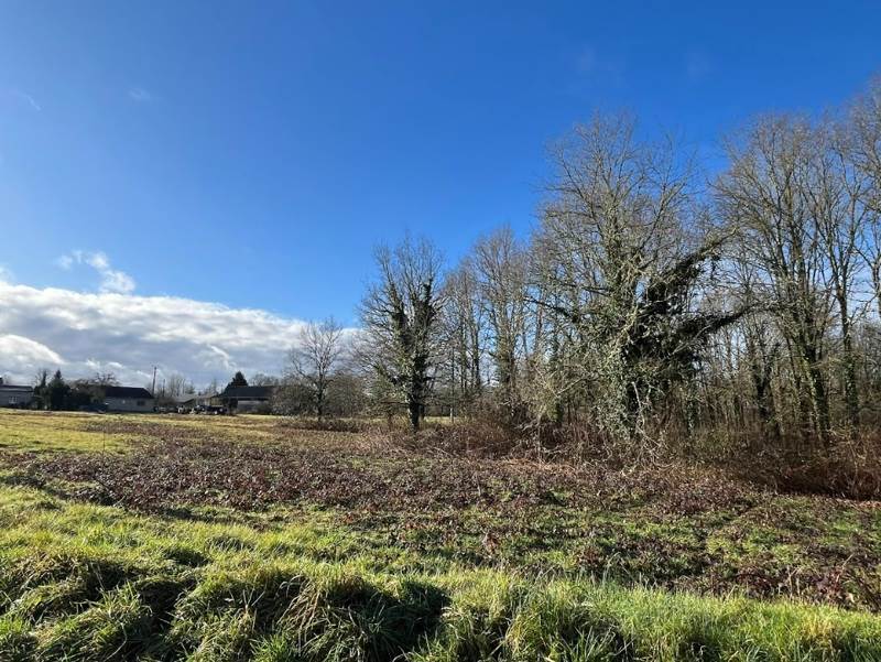 Vente Terrain CORGNAC SUR L ISLE - -4380 m² - (24800)