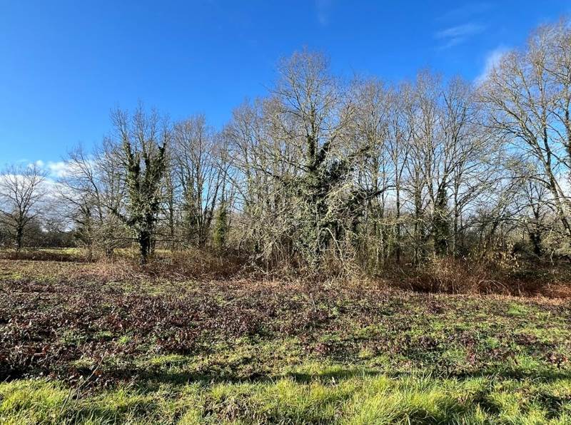 Vente Terrain CORGNAC SUR L ISLE - -4380 m² - (24800)