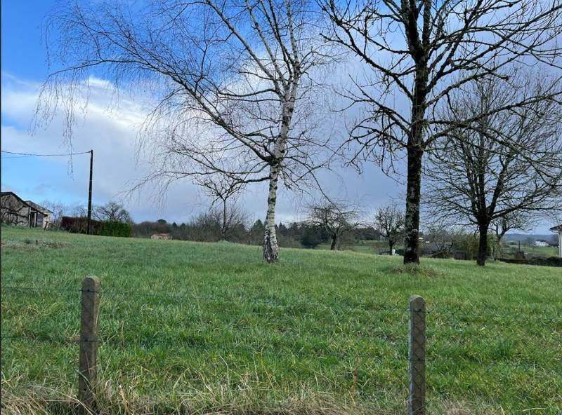 Vente Terrain THIVIERS - -5264 m² - (24800)