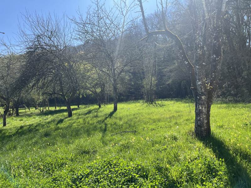 Vente Maison ST JEAN DE COLE - 1 pièce -26 m² - (24800)