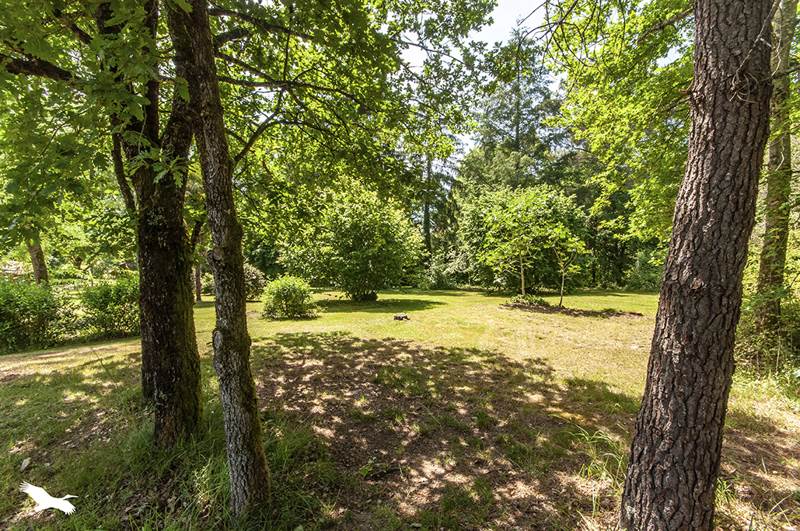 Vente Maison VAUNAC - 9 pièces -345 m² - (24800)