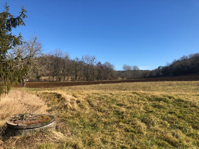 Vente Terrain CORGNAC SUR L ISLE - -6895 m² - (24800)