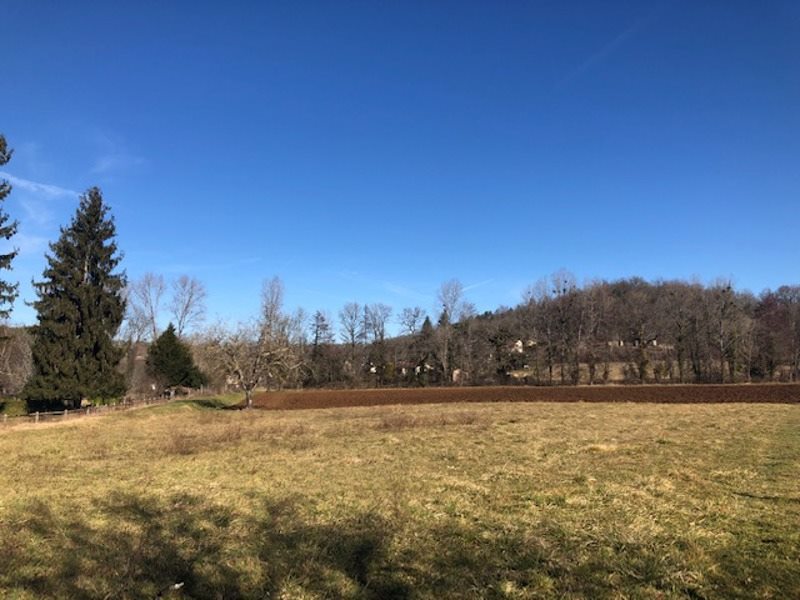 Vente Terrain CORGNAC SUR L ISLE - -6895 m² - (24800)