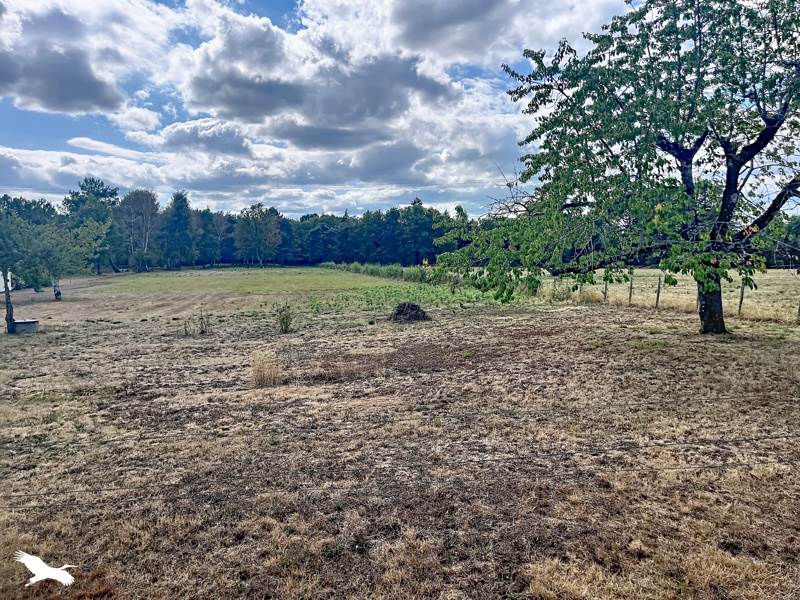 Vente Maison ST JORY DE CHALAIS - 5 pièces -130 m² - (24800)