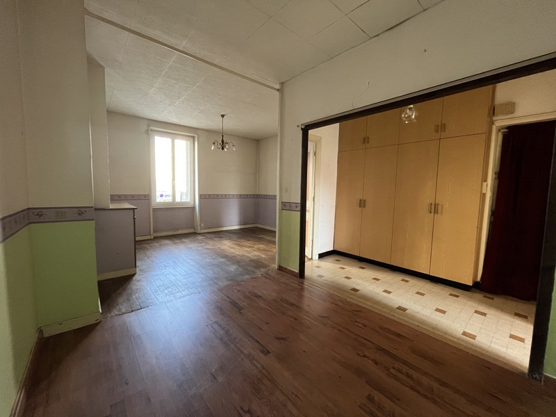 Vente Appartement VILLEURBANNE - 1 pièce -45 m² - (69100)