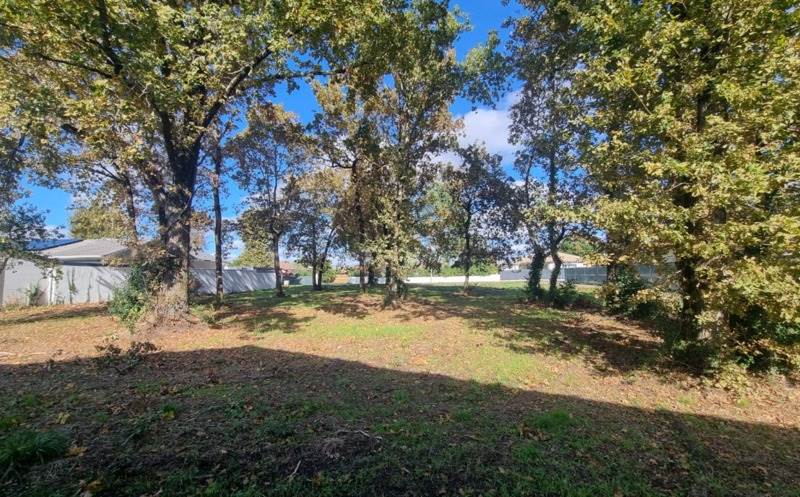 Vente Terrain BIGANOS - -1273 m² - (33380)