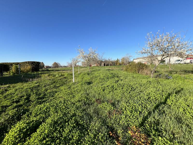 Vente Terrain BARBEZIEUX ST HILAIRE - -6046 m² - (16300)