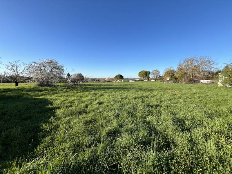 Vente Terrain BARBEZIEUX ST HILAIRE - -6046 m² - (16300)