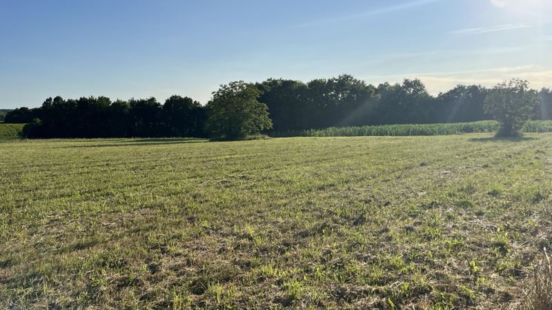 Vente Terrain SALLES DE BARBEZIEUX - -1100 m² - (16300)