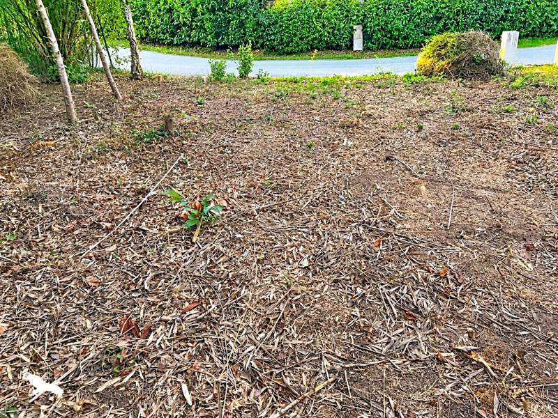 Vente Terrain Berchères-sur-Vesgre - -2651 m² - (28260)